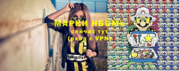 индика Козловка