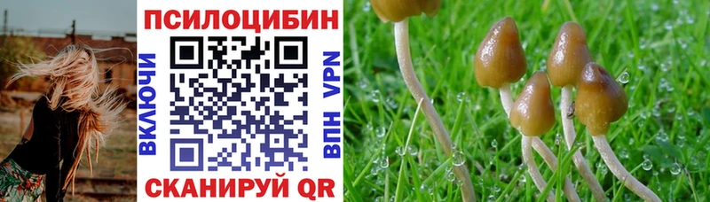 Псилоцибиновые грибы ЛСД  Купить закладки  Норильск 